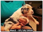 Max2