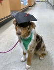 Rosie Graduation