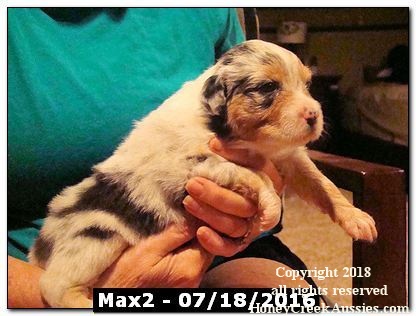 Max2