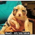 Max3