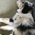 IMG 0163 - Copy