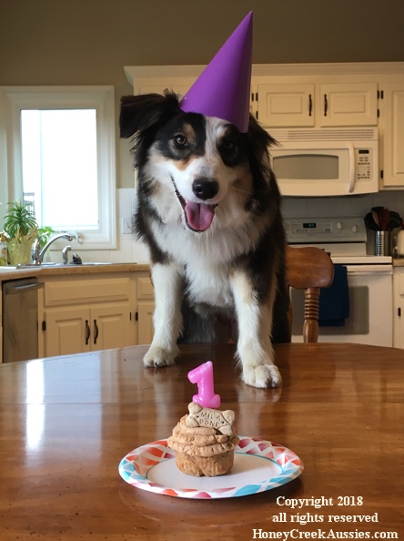 Amaya's 1st birthday