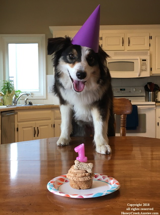 Amaya's 1st birthday