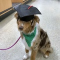 Rosie Graduation