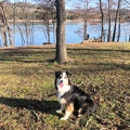Amaya enjoying the lake