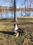 Amaya enjoying the lake